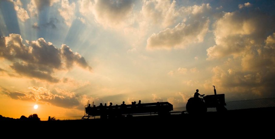 Photograph by Linvilla Orchards